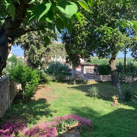 Oasis Deda Bozo Apartman Rovinj